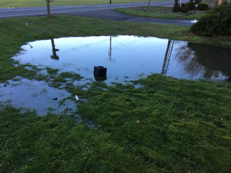 Save a house...create a drain field! Image