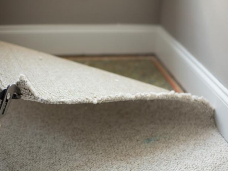 Sprucing up our floors! Image