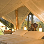 R_cyk_elephant_interior_of_tent_copyright_ian_johnson_b_1