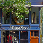 R_blue_tree_storefront_b_1