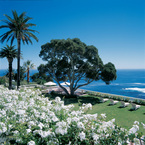 R_frontlawn_b_1