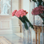 Flowers_b_1