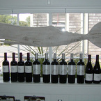 6_whale_window_b_1