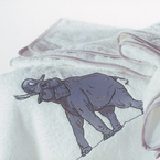 Stranos_picture_2_001_b_1
