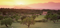 Mallorcahero_a_3