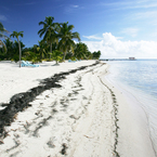 Ambergrisshoreline_-_dave_humphreys_b_1