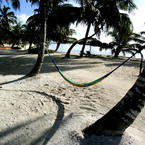 Hammockambergriscaye_-_dave_humphreys_b_1