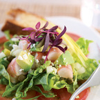 Salad_close_b_1