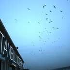 07_istanbulmodern_b_1