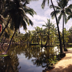 Lagoon_b_1