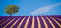 Provencehero2_a_4