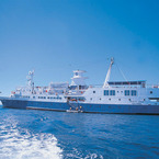 Santa_cruz_1_b_1