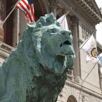 Lion__closeup___b_1