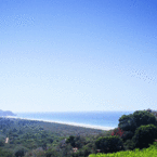 Cuixmala1_b_1