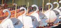 Boston7_a_3