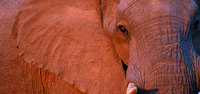 Botswana9_a_3