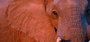 Botswana9_a_4