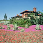 Rancho_b_1