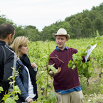 Xw-_visit_to_the_vineyard_b_1