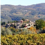 Villabordoni_b_1