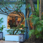 Trillon__palm_beach_b_1