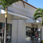Gypsy_palm_beach_b_1