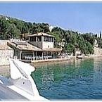 Orsan12_b_1