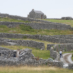 Aranisland_b_1