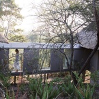 Londolozi_b_1