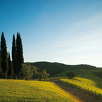 Morning_landscape_b_1