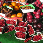 Berries_b_1
