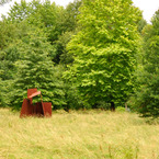 Garden_b_1