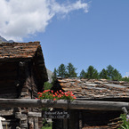 Dsc_0415_b_1