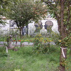 Berlinscenic5
