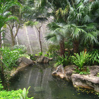 640px-edward_youde_aviary_-_img_9733_b_1
