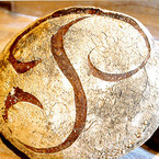20549_276918521718_276917341718_4446995_4593880_n_b_1