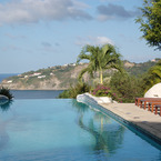 Pelican_eyes_pool_b_1