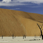 Wilderness_safaris_b_1
