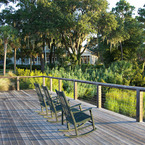 Palmetto2_b_1