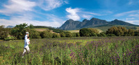 Winelands1_a_3