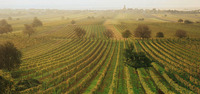 Burgenland_a_3