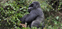 Rwanda_a_4
