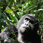 Uganda__6_b_1