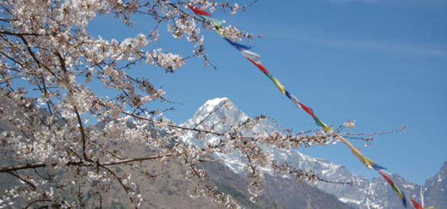 3-nepal2_a_1