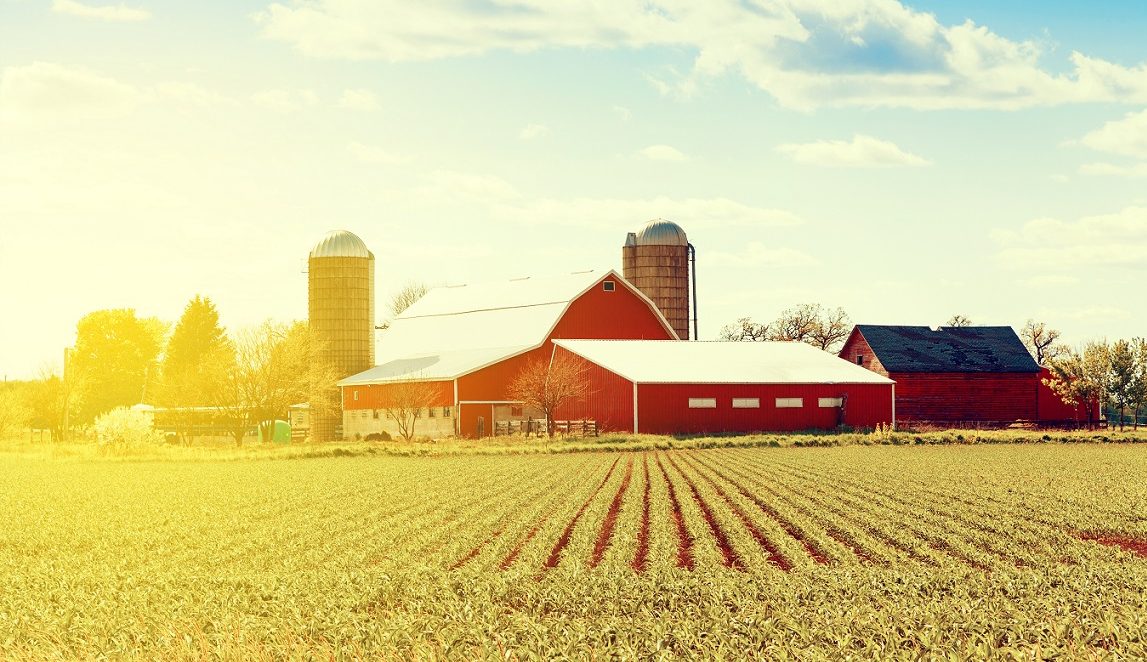 organic farmland
