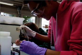 Northern California Biotech CEOs Endorse Bio-Community.org and NLN Efforts