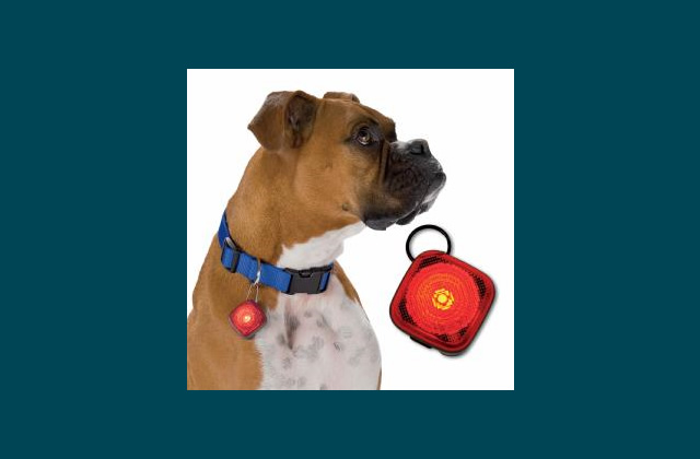 FetchDog Beacon Safety Dog Light