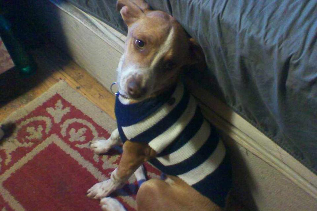Buster Brown