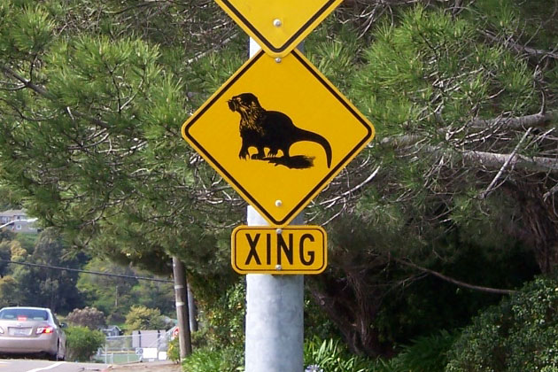 8 Eyebrow-Raising Animal Crossing Signs From Around the World