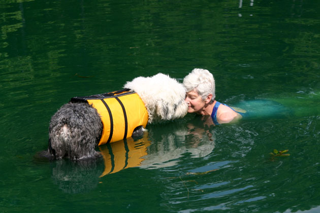 Do the Doggie Paddle